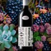 Winefolk Cabernet Sauvignon